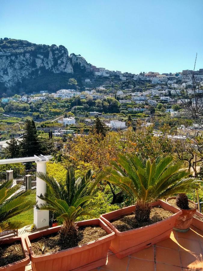 Casa Paolina - Casa Vacanze Capri Zewnętrze zdjęcie