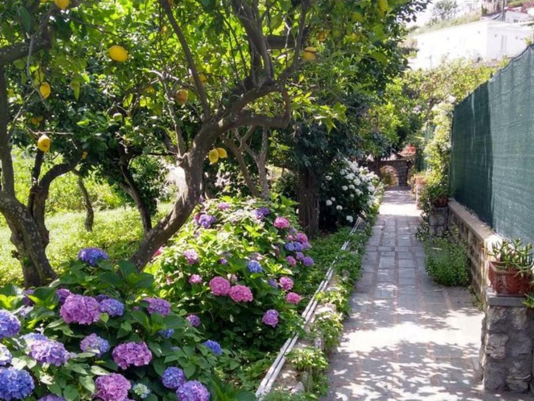 Casa Paolina - Casa Vacanze Capri Zewnętrze zdjęcie